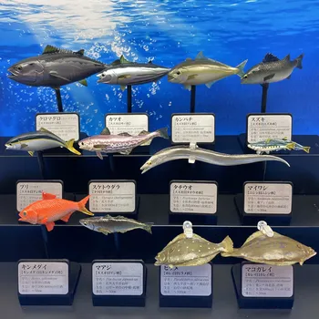  TAKARA ТОМИ Истински Основният Цвят на Морска Риба Илюстрация на Книга Гашапон Играчки Туннини Скипджек риба Тон Симулация Модел Орнамент Играчки
