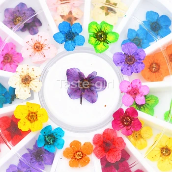  12 Цвята Истински сухи цветя Съвети 3D Дизайн на Ноктите Колелото на стикери за Декорация на Маникюр Аксесоари За Дизайн на Ноктите инструменти